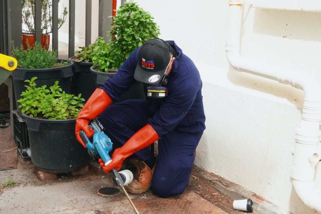 Commercial Pest Control