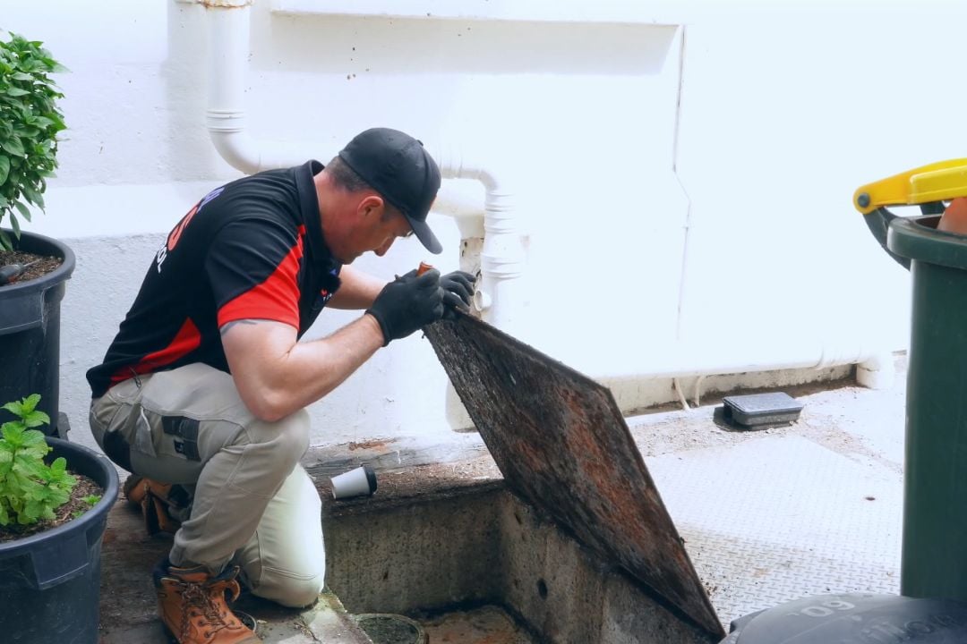 Commercial Pest Control
