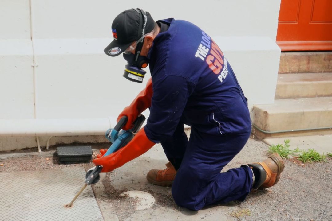 Commercial Pest Control