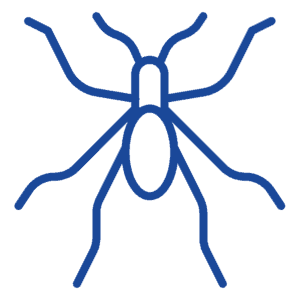 Fleas Ticks