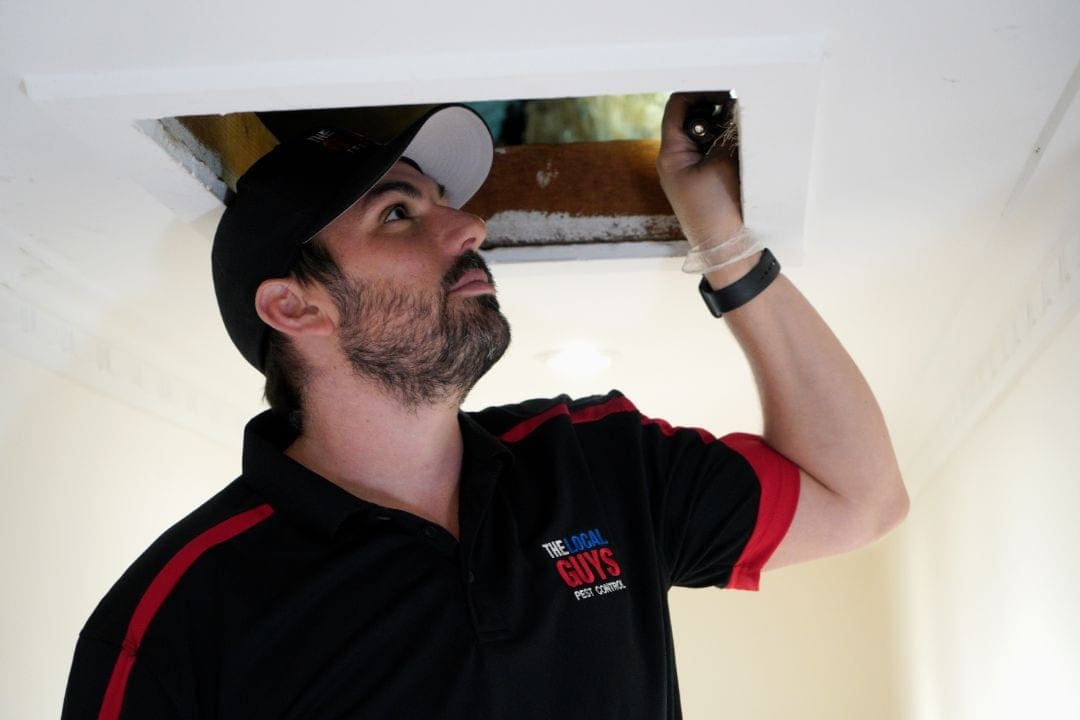 The Local Guys Pest Control Franchise (2)