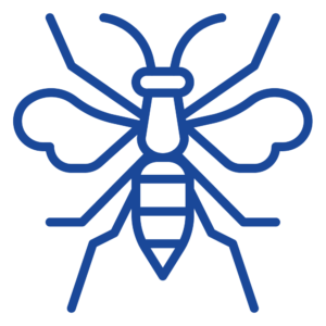 Wasps
