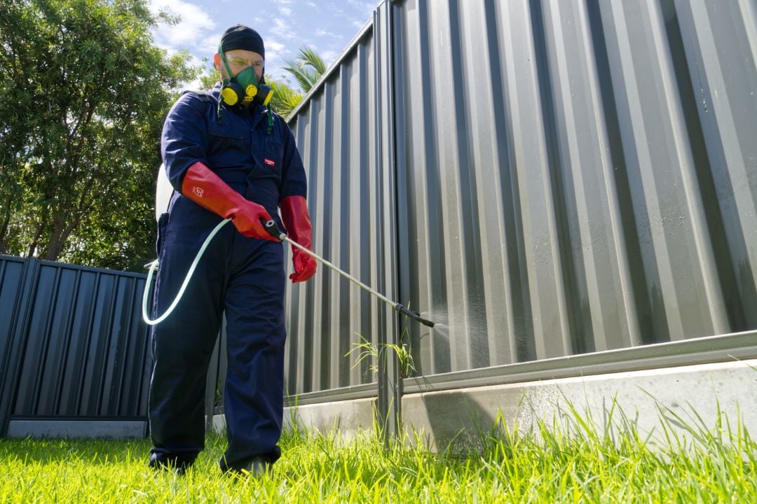Why Choose The Local Guys Pest Control