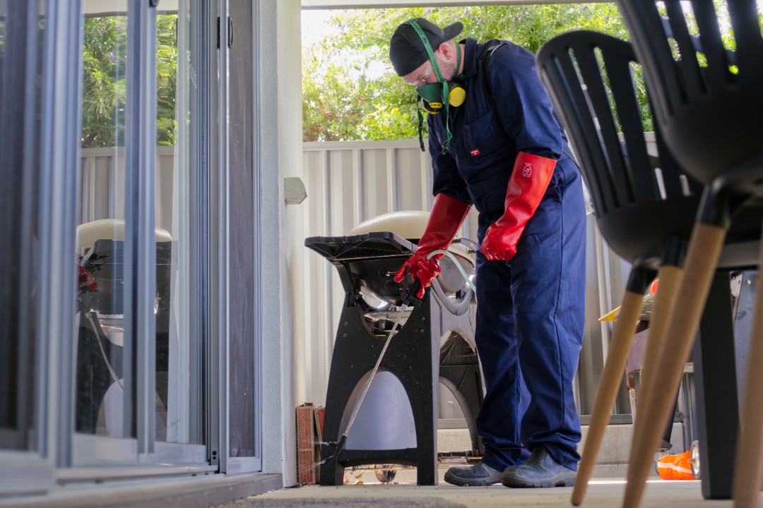end of lease pest control