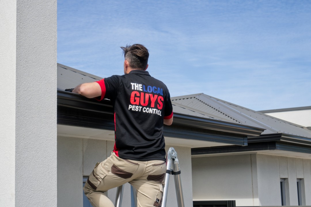 end of lease pest control